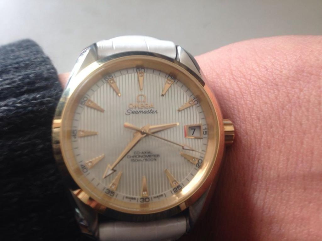 omega17_zpsc342aa94.jpg
