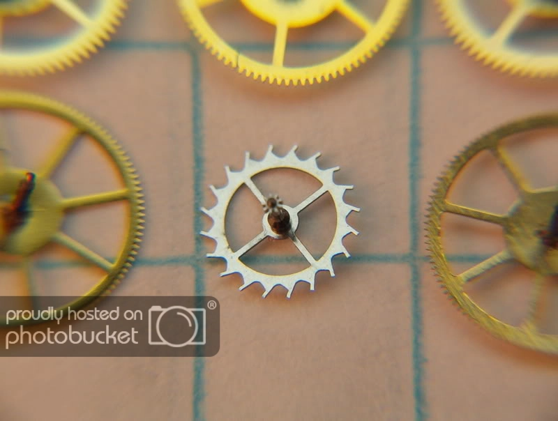 SeagullEscapeWheel_zpsb3460173.jpg