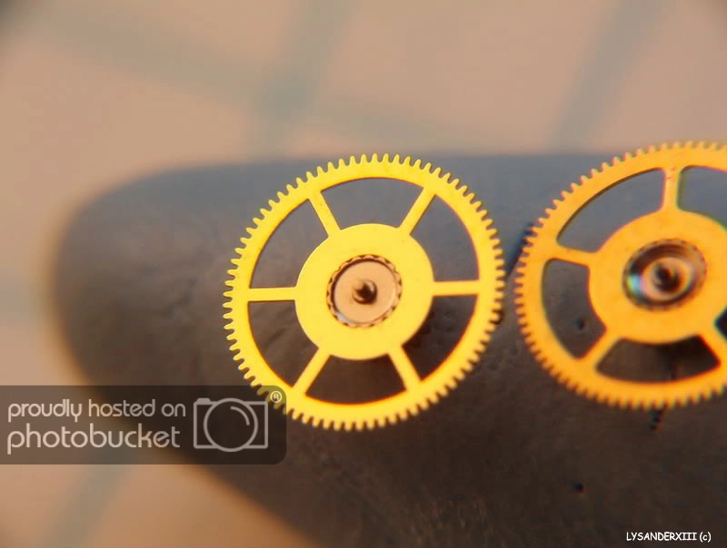Seagullcenterwheel_zpsacd40392.jpg